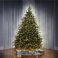 The World's Best Prelit Fraser Fir - 9 1/2" Full 83"